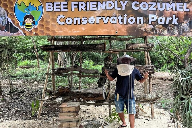 Cozumel: Hands-On Chocolate, Tortilla, Salsa & Honey Experience - Key Highlights You Should Know Before You Go