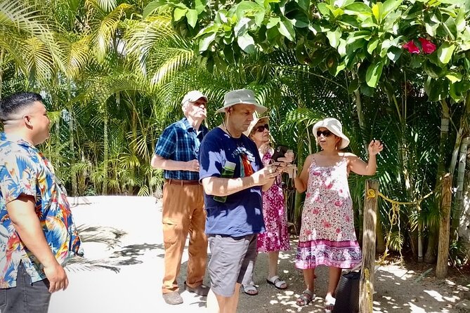 Cozumel: Hands-On Chocolate, Tortilla, Salsa & Honey Experience - Honey Tasting With Sacred Melipona: More Than a Sample Flight