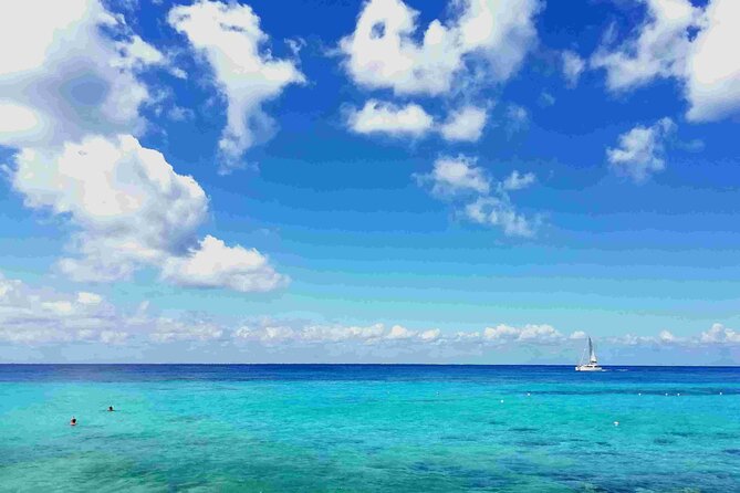 Cozumel Island Tour: Mayan Ruins, Reefs, and Beach Escape - Key points before you go