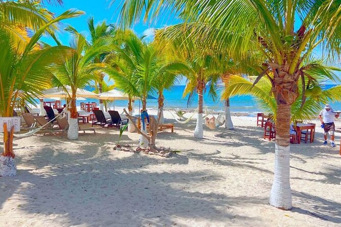 Cozumel Jeep Adventure Natural Cenote & Mayan Experience OTOCH - Playa Publica San Martin: Caribbean views plus fish ceviche