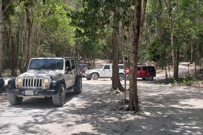 Cozumel Jeep Adventure to Jade Caverns with Lunch and Snorkel - Morning Pickup and the Real Meaning of Private