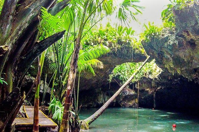 Cozumel Jeep Adventure to Jade Caverns with Lunch and Snorkel - El Cedral, Jungle Roads, and the Palapa Moment