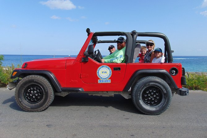 Cozumel Jeep and Snorkel Adventure with Lunch at Punta Sur Park - Columbia Lagoon and the Observation Tower: Wildlife Moments That Feel Real