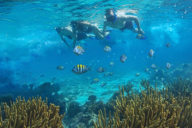 Cozumel Luxury Sailing & Snorkeling with Lunch and Open Bar Onboard - Time on Cozumel: plan for short and sweet island wandering