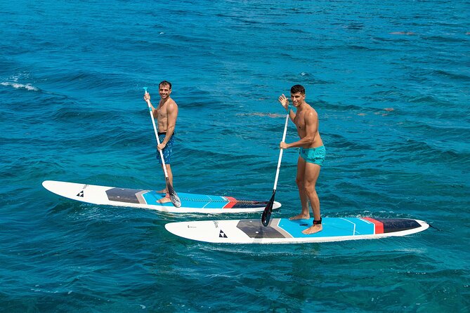Cozumel Luxury Sailing & Snorkeling with Lunch and Open Bar Onboard - The real logistics: 8:30 AM dock time, then a long ferry day