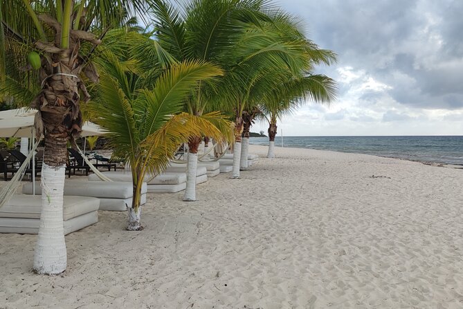 Cozumel Mayan Ruins and Beach Break - Meeting your guide in Cozumel: cruise pier meets the “don’t wander” reality