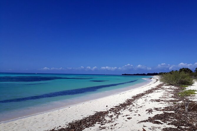 Cozumel National Park and Beach Break: Private Tour - The panoramic Cozumel drive: ocean roads, east-side views, and quick photo stops