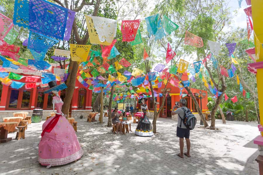 Cozumel: Official Chankanaab Park and Snorkeling with Lunch - Botanical gardens, the blue lagoon, and Mayan culture access
