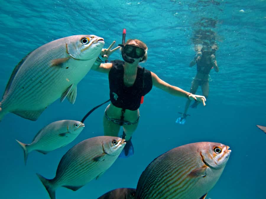 Cozumel: Official Chankanaab Park and Snorkeling with Lunch - Should you book this Chankanaab snorkeling and lunch experience?