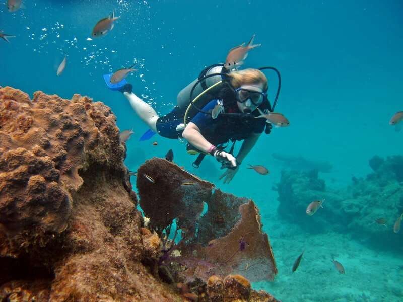 Cozumel: One Tank Scuba Dive and Full Chankanaab Park Access - Key takeaways before you go