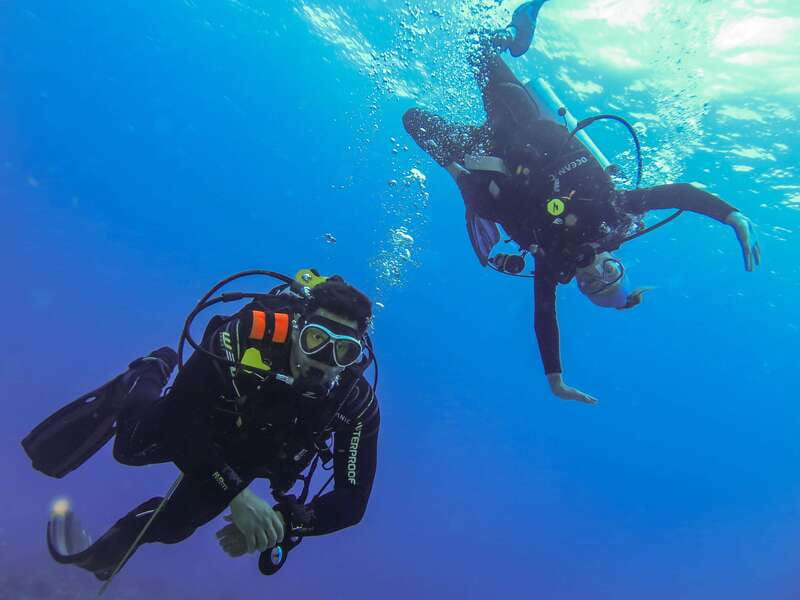 Cozumel: One Tank Scuba Dive and Full Chankanaab Park Access - Price and value: what you pay, what you actually get