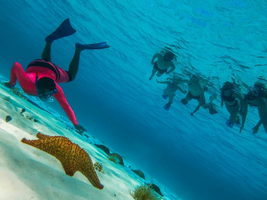 Cozumel: Palancar, Columbia and Cielo Reefs Snorkeling Tour - Who this tour fits best, and who should choose a different option