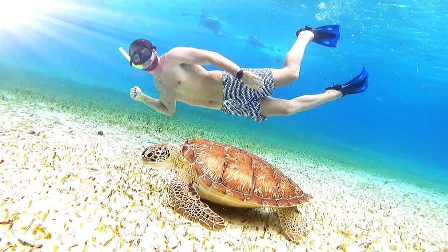 Cozumel: Palancar, Columbia and Cielo Reefs Snorkeling Tour - Palancar, Columbia, and Cielo: why this 4-hour combo works