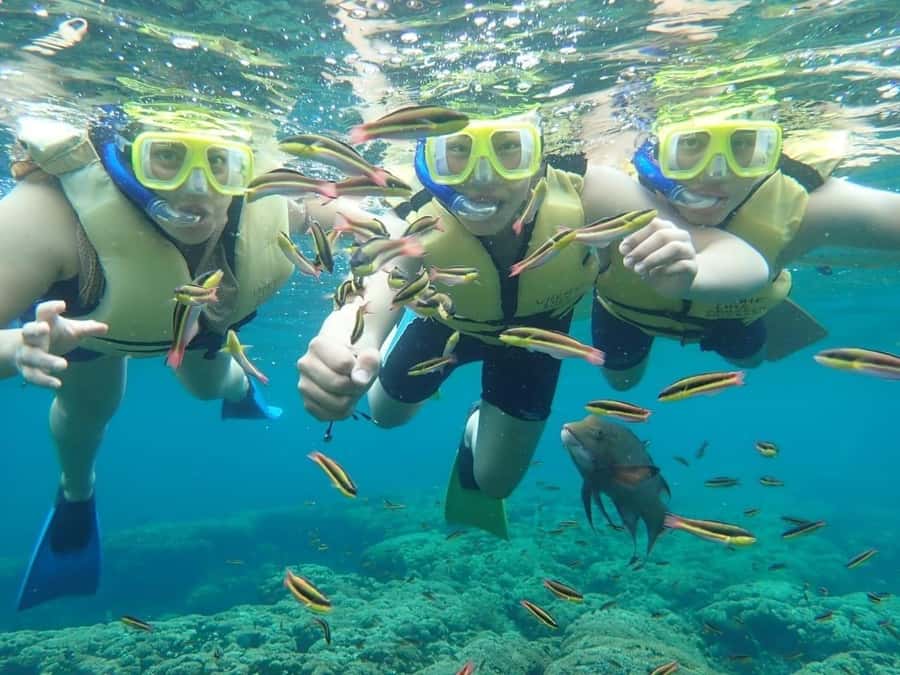 Cozumel: Palancar, Columbia and Cielo Reefs Snorkeling Tour - El Cielo Sandbar and El Cielito beach: the calm counterpoint