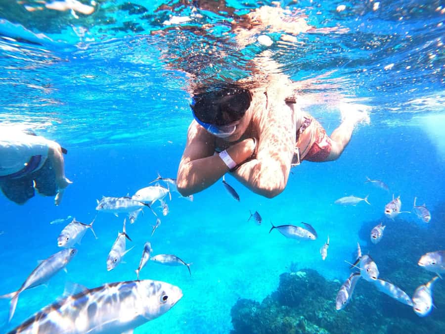 Cozumel: Palancar, Columbia and Cielo Reefs Snorkeling Tour - Boat time, drinks, ceviche, and the crew that keeps it moving