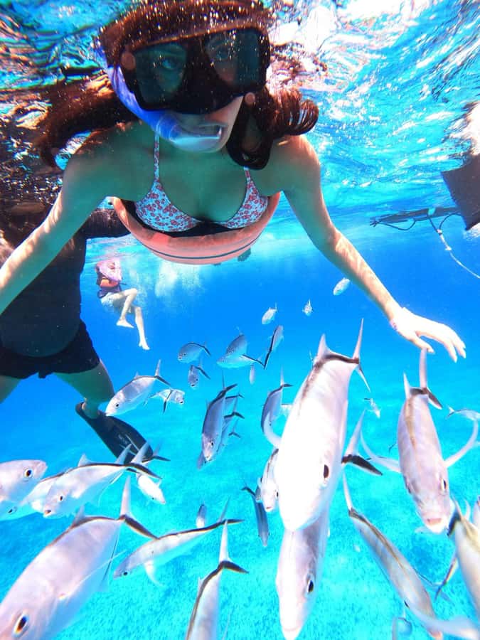Cozumel: Palancar, Columbia and Cielo Reefs Snorkeling Tour - What to bring and the small choices that keep the day smooth
