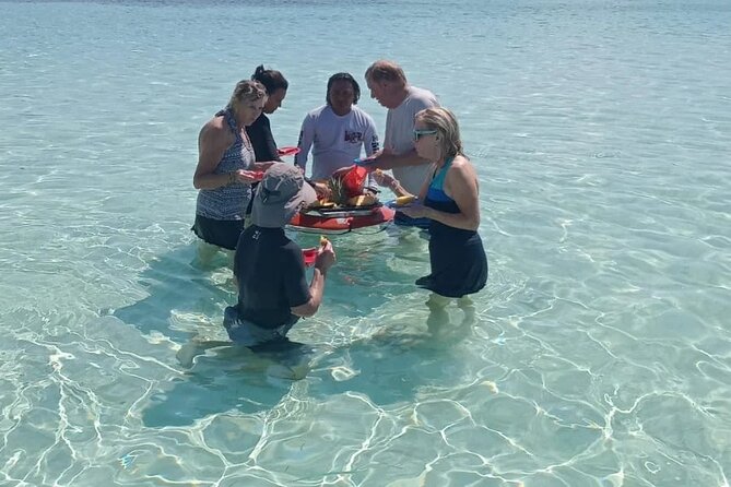 Cozumel Private 4-hour Boat Tour to El Cielo with Snorkeling - Snorkel Gear, Guide Style, and How the Day Flows