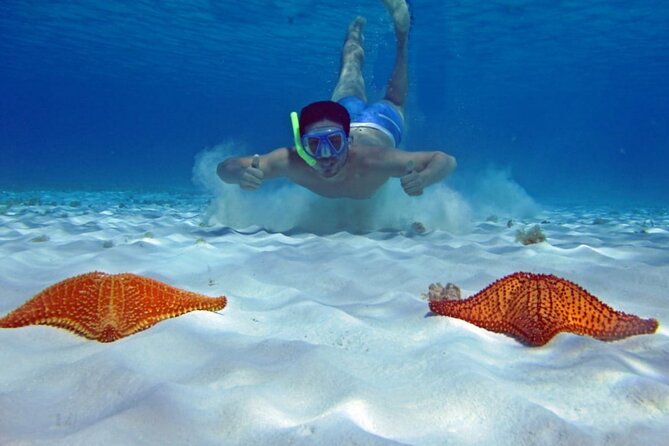 Cozumel Private 4-hour Boat Tour to El Cielo with Snorkeling - Playa El Cielo: Starfish Flats and Stingray Circles
