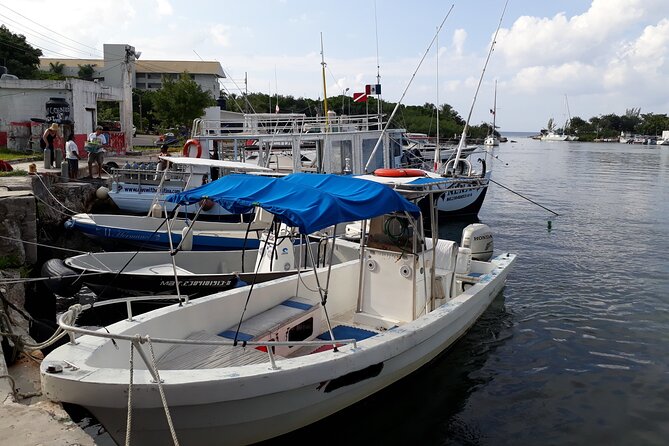 Cozumel Private 4-Hour Boat Tour to Passion Island - Snorkel gear and guide support that makes the water time easier