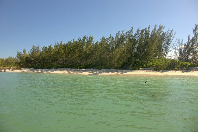 Cozumel Private 4-Hour Boat Tour to Passion Island - Weather and currents: why your crew may adjust the plan