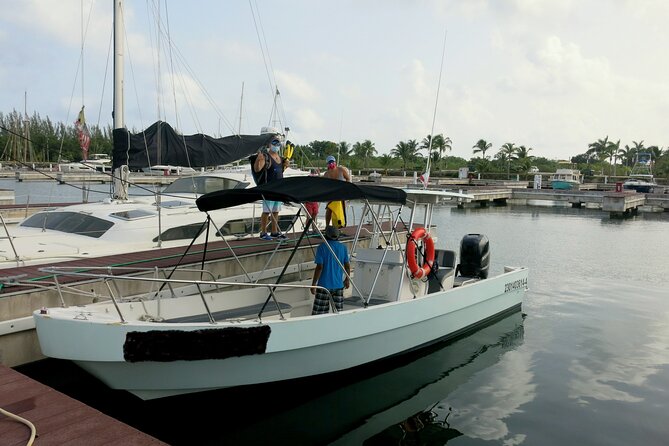 Cozumel Private 4-Hour Boat Tour to Passion Island - Price and value: what $555.26 gets you for up to 8 people