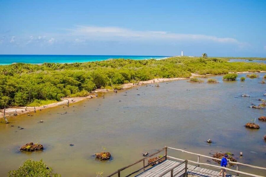 Cozumel: Private Buggy Tour to Punta Sur Park All Inclusive - Pickup and getting to the start line without stress