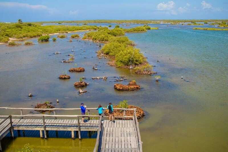 Cozumel: Private Buggy Tour to Punta Sur Park All Inclusive - Beach time at Cocos Beach Club: snorkeling and paddleboarding included