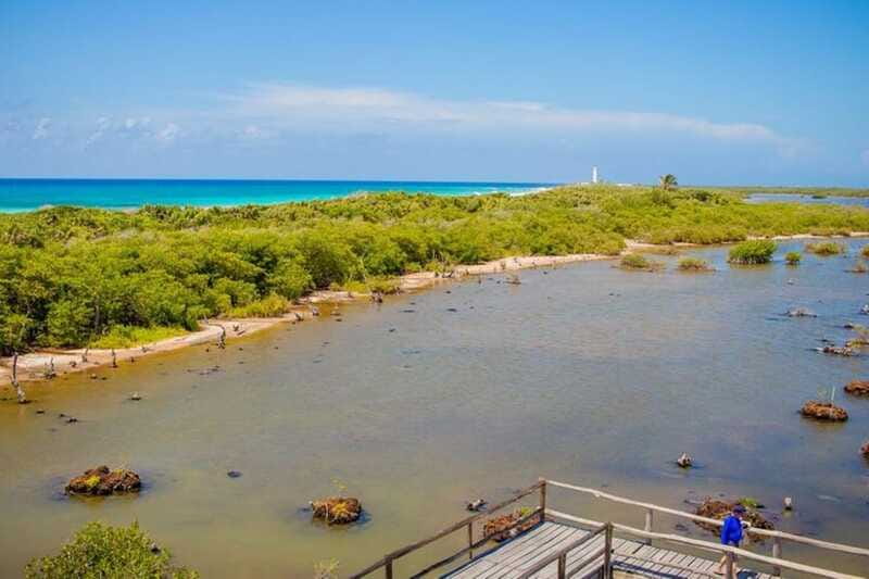 Cozumel: Private Buggy Tour to Punta Sur Park All Inclusive - Mexican lunch at the beach club: a real sit-down break