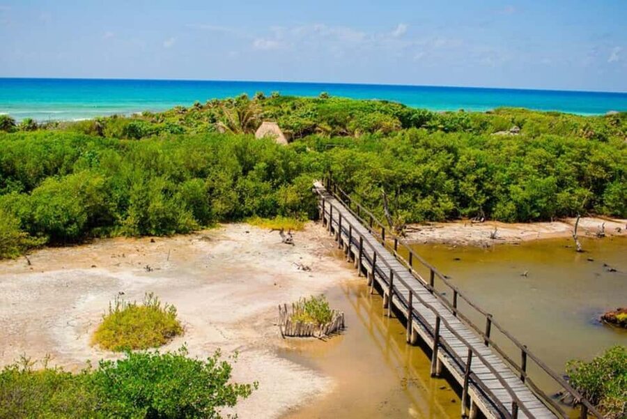 Cozumel: Private Buggy Tour to Punta Sur Park All Inclusive - What you actually get: private buggy, guide, and included entrance fees