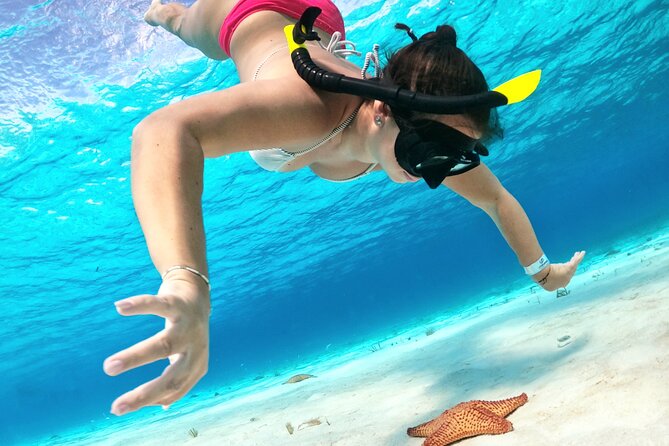 Cozumel Private Snorkeling and Charter Experience - Meeting Point, Pickup, and Timing (10AM to 3PM Window)