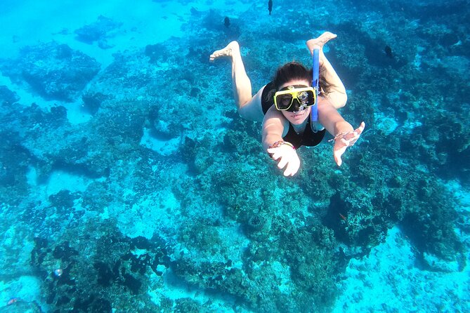 Cozumel Private Snorkeling and Charter Experience - Stop 2: Columbia Reef, Big Sea Life Odds