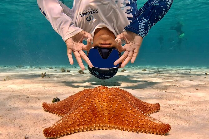 Cozumel Private Snorkeling and Charter Experience - Price and Value: $900 Per Group, What That Buys You