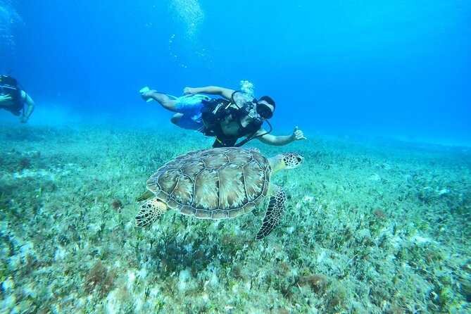 Cozumel Scuba Dive at Chankanaab - Getting ready at the park: what the first minutes feel like