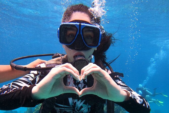 Cozumel Scuba Dive at Chankanaab - Stops 2 and 3: Reef barrier, national reef zone, and the scenery you actually came for