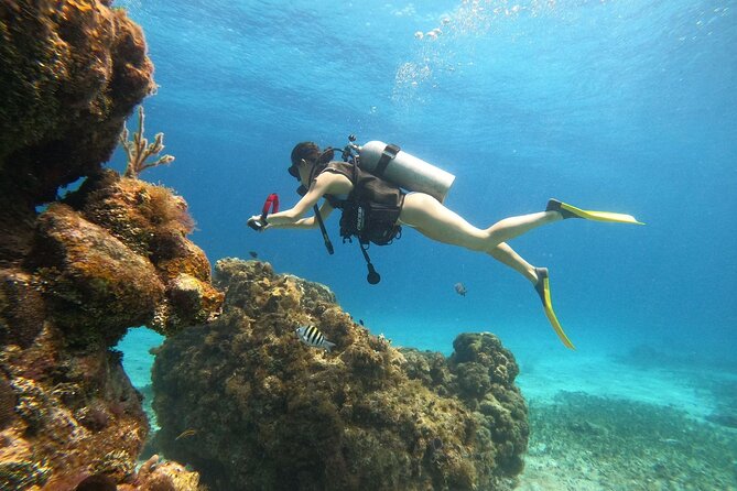 Cozumel Scuba Dive at Chankanaab - Where you meet, and how to avoid the port-area scramble