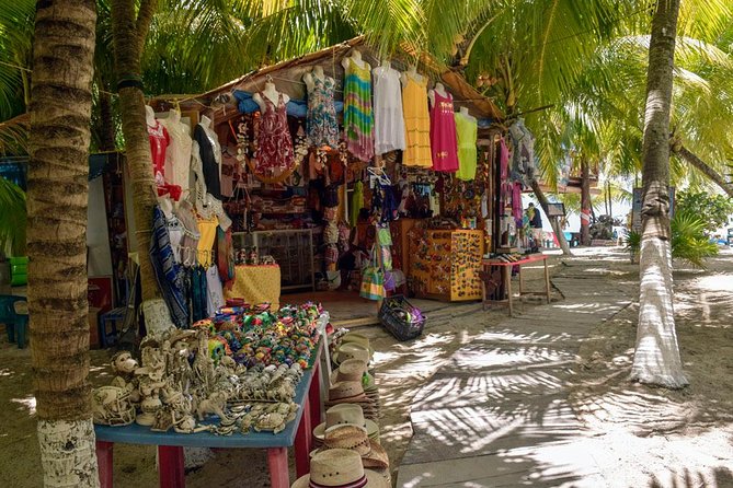 Cozumel Shore Excursion: 5-Hour Sightseeing Tour with Private Driver - Mi Mexico Lindo Tequila Tour: Tastings, Agave Story, and Honey Drinks for Kids
