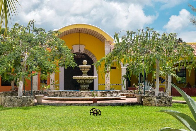 Cozumel Shore Excursion: 5-Hour Sightseeing Tour with Private Driver - El Mirador: East Coast Photos Without the Big Detour