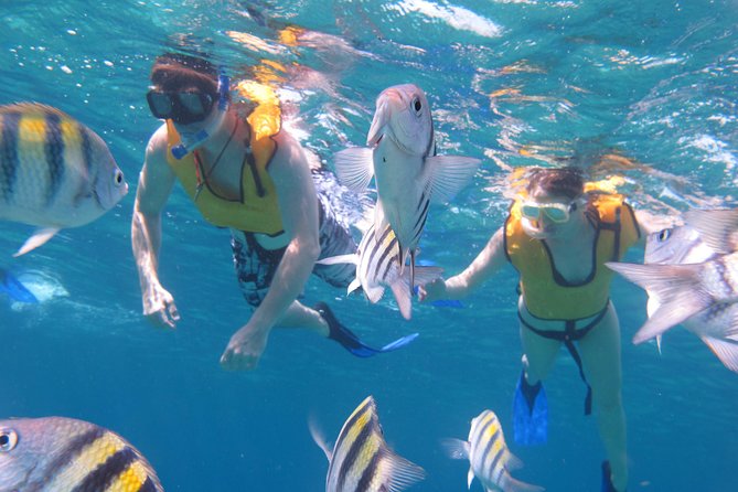 Cozumel Shore Excursion: Playa Uvas Private Beach Pass - The Open Bar and Lunch Deal: Value You Can Use