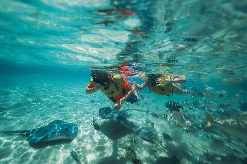 Cozumel: Snorkel and Swim with Stingrays - The waist-deep stingray encounter: feeding, soft touches, and calm handling