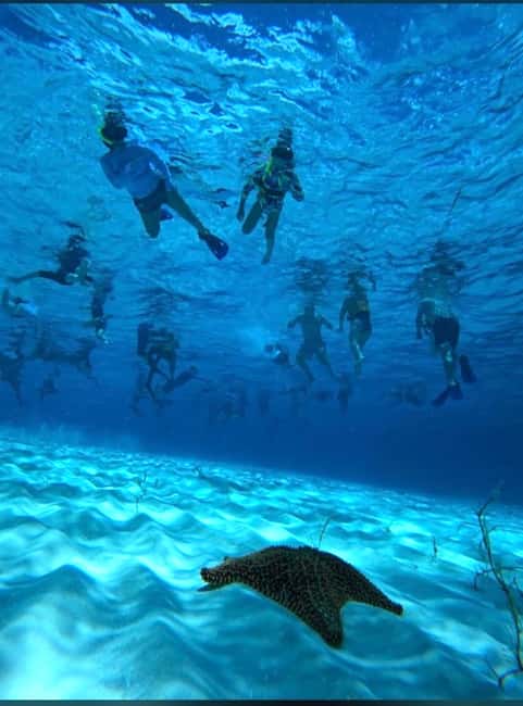 Cozumel: snorkeling on reefs + visit to "El Cielo" - Key highlights worth your attention