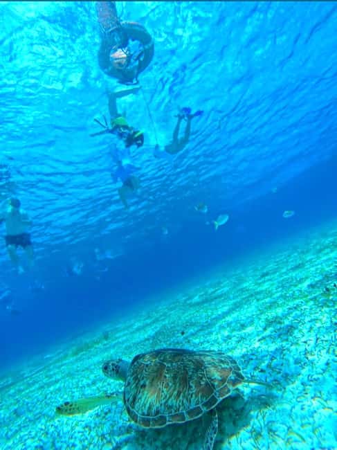 Cozumel: snorkeling on reefs + visit to "El Cielo" - Why Palancar and Columbia Reefs Are the Real Point of Cozumel Snorkeling