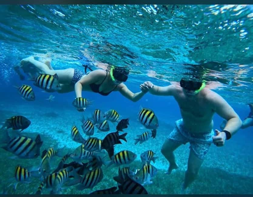 Cozumel: snorkeling on reefs + visit to "El Cielo" - The 4-Hour Flow: How the Day Actually Plays Out