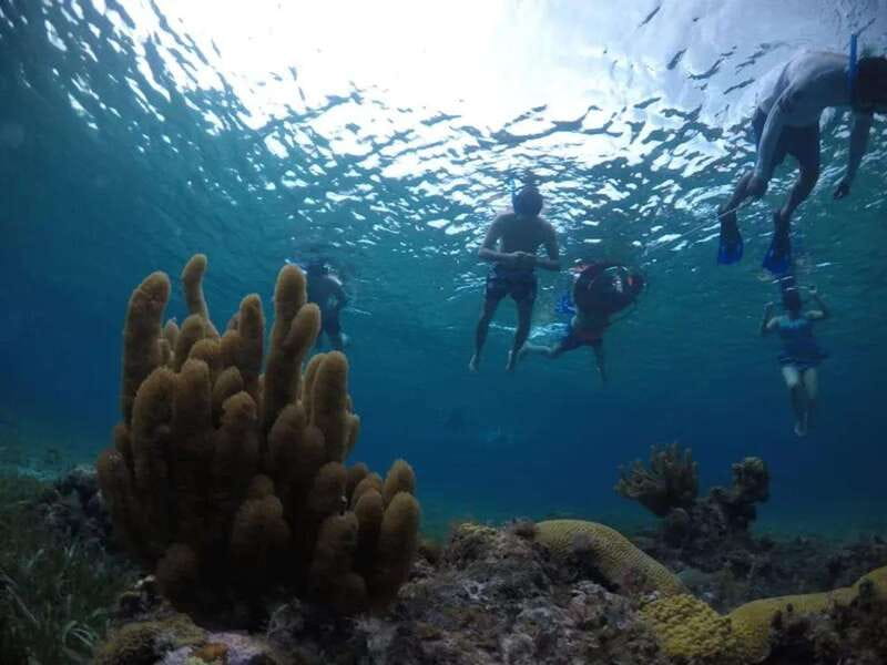 Cozumel: snorkeling on reefs + visit to "El Cielo" - Price and Value: Understanding the 850 Pesos Total