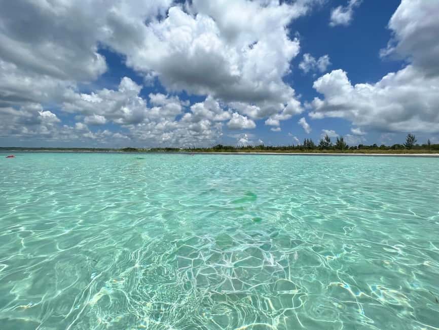 Cozumel: snorkeling on reefs + visit to "El Cielo" - Tips to Get More From Palancar, Columbia, and El Cielo