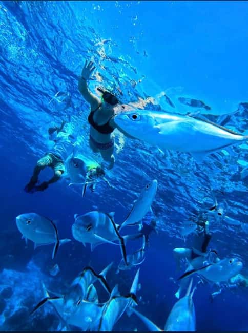 Cozumel: snorkeling on reefs + visit to "El Cielo" - El Cielo Starfish Sandbar: The Calm Stop That Changes the Mood