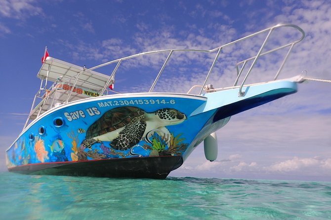 Cozumel Snorkeling Tour at Palancar & Colombia Reefs and El Cielo - Meeting point, timing, and how to avoid the typical marina stress