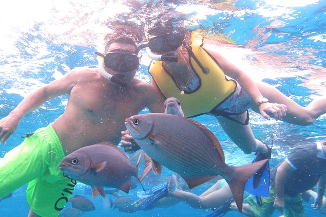 Cozumel Snorkeling Tour at Palancar & Colombia Reefs and El Cielo - The biggest tradeoffs: pickups, short snorkel windows, and photographers