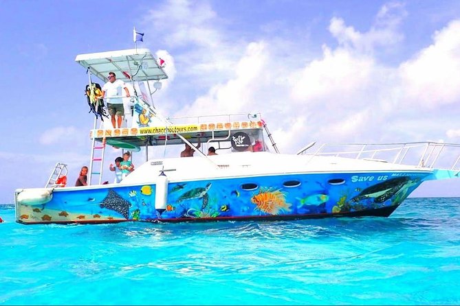 Cozumel Snorkeling Tour at Palancar & Colombia Reefs and El Cielo - Price and what you actually get for $59.49