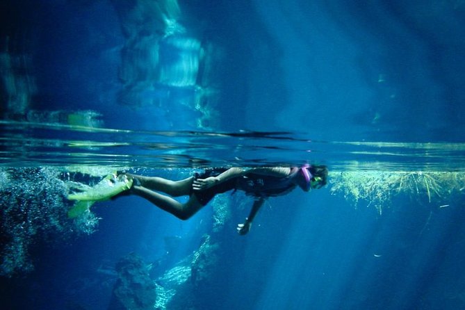 Cozumel Snorkeling Tour from Playa del Carmen - Ferry Ride to Cozumel: The Part Most People Forget to Appreciate