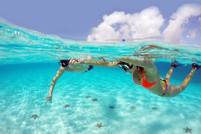 Cozumel Snorkeling Tour: Palancar, Columbia and El Cielo Reefs - Key Highlights to Know Before You Go